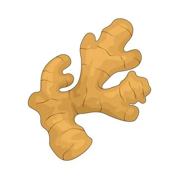 Ginger illustration Stock Illustration