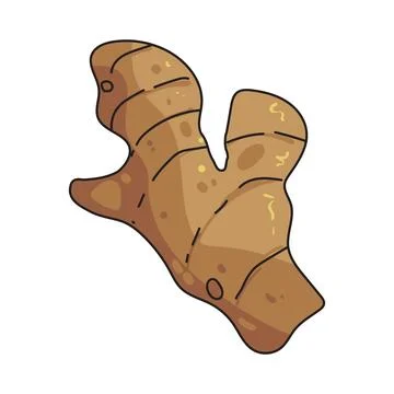 Ginger illustration Stock Illustration