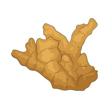 Ginger illustration Stock Illustration