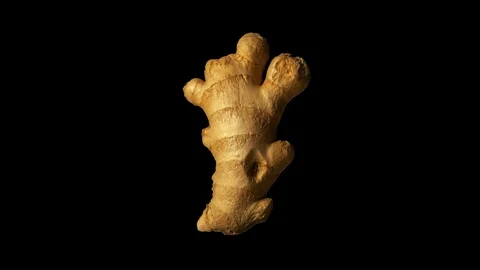 Ginger isolated with alpha channel spinning 180 degrees Video stock 125818410