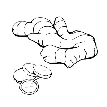 Ginger isolated on a white background. Ginger root drawn by hand. Healthy diet. Stock Illustration
