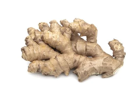 A ginger isolated on a white background Stock Photos