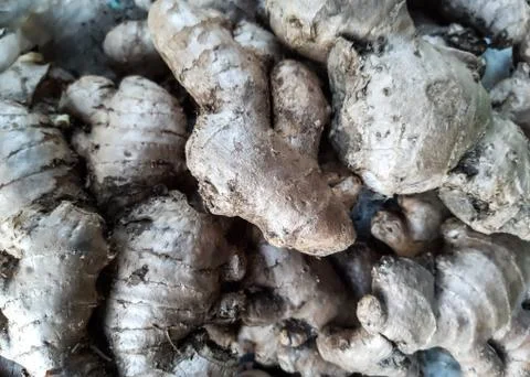Ginger is kept in baskets in the store, these are kept for sale. Stock Photos