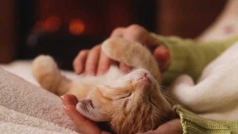 Ginger kitten enjoy caressing and relaxing at the fireplace Stock Footage 126337394