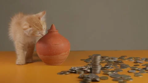 Ginger Kitten Playing Around a Clay Coin Bank with Coins on the Table Stock Footage 292061398
