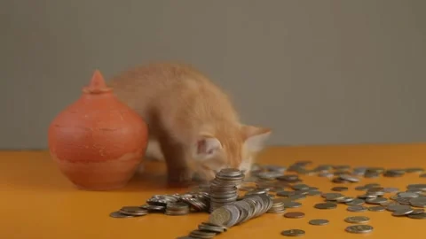 Ginger Kitten Playing Around a Clay Coin Bank with Coins on the Table Stock Footage 292062041