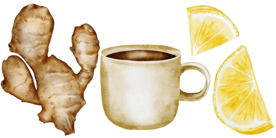 Ginger, lemon and tea set watercolor. Hand drawn medicinal products. Medical Stock Illustration