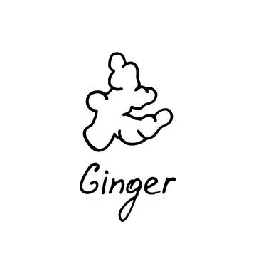 Ginger logo. Vector illustration with hand drawn ginger. Stock Illustration