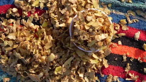 Ginger or adrak known as (Zingiber officinale). Ginger roots peeling Stock-Footage 227905076