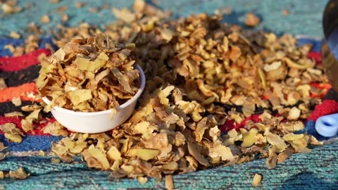 Ginger or adrak known as (Zingiber officinale). Ginger roots peeling with k.. Stock-Footage 227905289