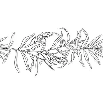 Ginger Outline Horizontal Seamless Pattern. Stock Illustration