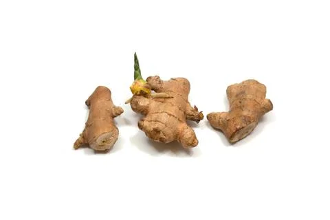 Ginger Stock Photos