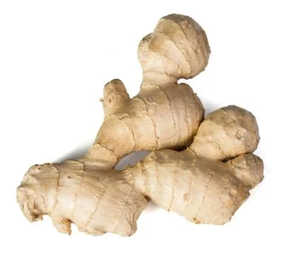 Ginger Stock Photos
