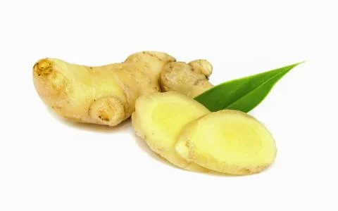 Ginger. 스톡 사진