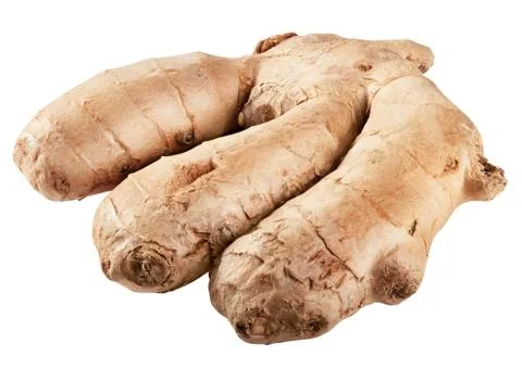 Ginger Stock Photos