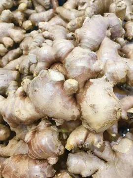 Ginger Stock Photos