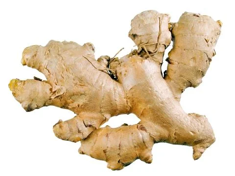 Ginger. Stock Photos