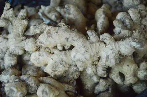 Ginger Stockfoto's