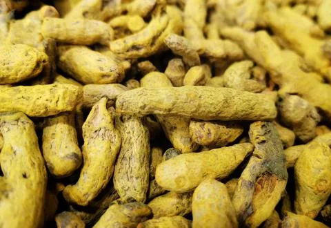 Ginger. Stock Photos