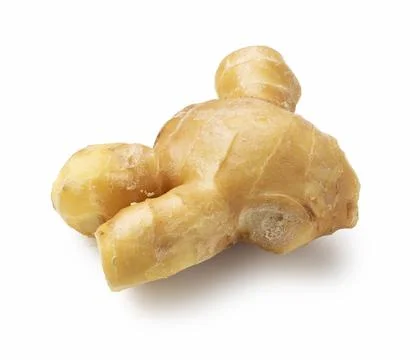 Ginger placed on a white background Stock Photos