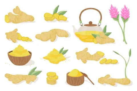 Ginger Product Stock Illustration