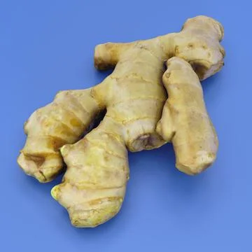 Ginger Root 3D Close-Up Render for Culinary Flavor and Spice Stock Illustration