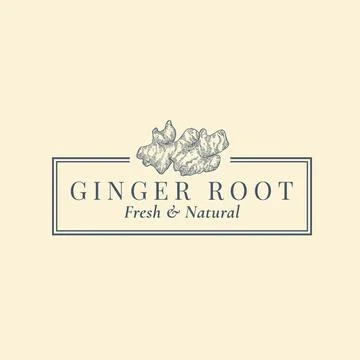 Ginger Root Abstract Vector Sign, Symbol or Logo Template. Hand Drawn Plant Stock Illustration