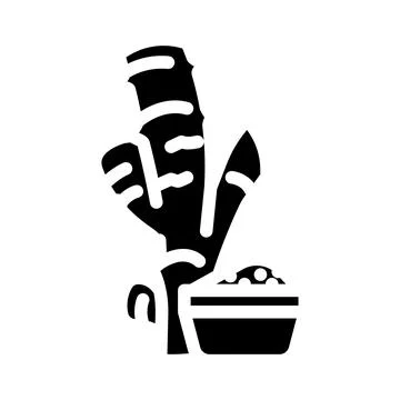 Ginger root ayurvedic herb glyph icon vector illustration 스톡 일러스트