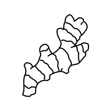 Ginger root ayurvedic herb line icon vector illustration Stock Illustration