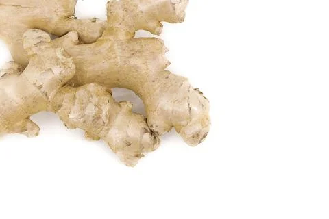 Ginger root captured against a minimal white background. Stock Photos