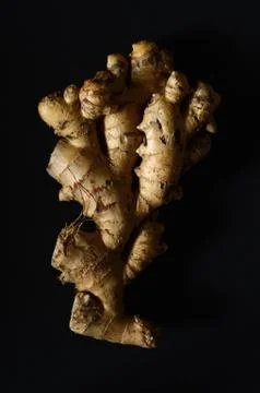 Ginger root closeup Stock Photos