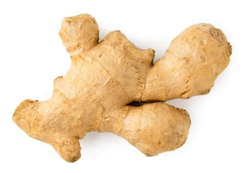 Ginger root closeup on a white. The form of the top. Stock Photos