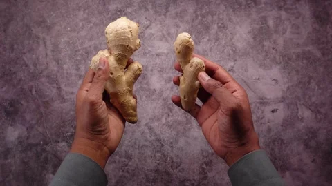 Ginger root comparison shows size and shape differences Stock Footage 337878565