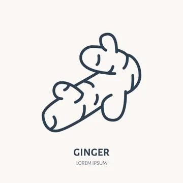 Ginger root flat line icon. Medicinal plant, spice vector illustration. Thin Stock Illustration