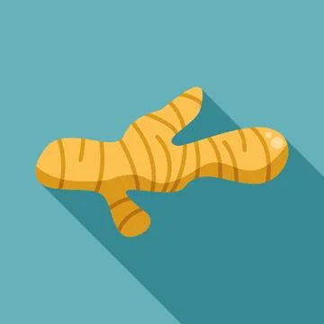 Ginger root fresh spice food ingredient illustration Stock Illustration
