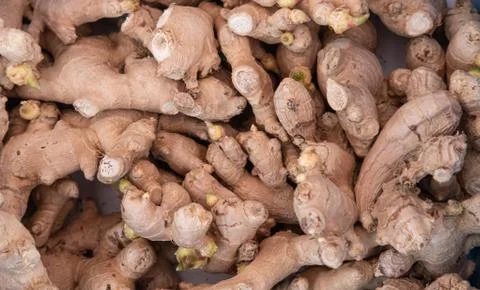 Ginger Root at Greengrocers Stock Photos