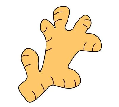 Ginger root. Herbal spice. Detox food ingredient. Simple Doodle style Stock Illustration