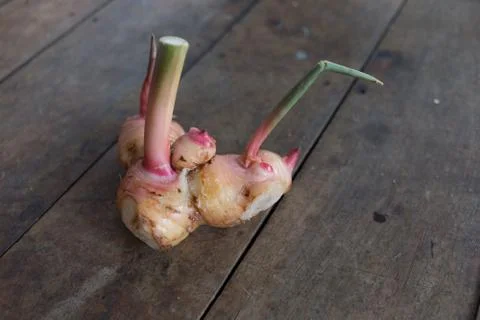 Ginger root herbal vegetable with cooking food Stock Photos