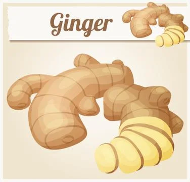 Ginger root illustration. Cartoon vector icon Stock Illustration