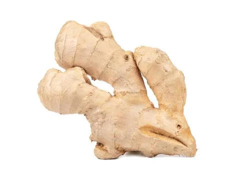 Ginger root isolate Stock Photos