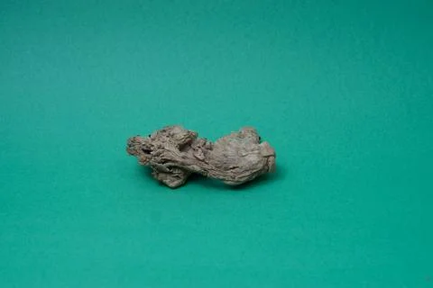 Ginger root isolated on green background Stock Photos