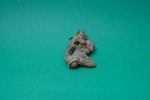 Ginger root isolated on green background Stock Photos