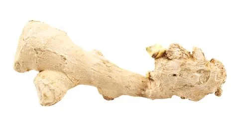 Ginger root isolated Stock Photos