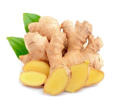 Ginger root in isolated. Stock Photos