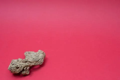 Ginger root isolated on red background Stock Photos