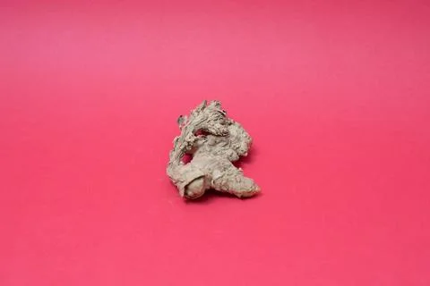 Ginger root isolated on red background Stock Photos