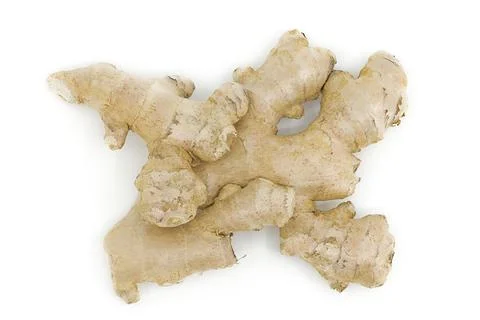 Ginger root isolated on a simple white studio setting. Stock Photos