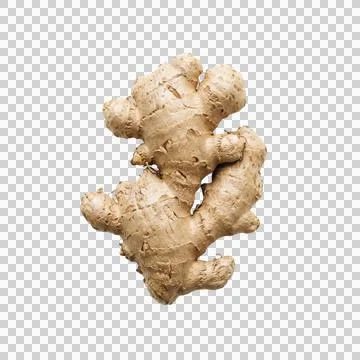 Ginger root isolated on transparent background for healthy food and cooking. 스톡 사진