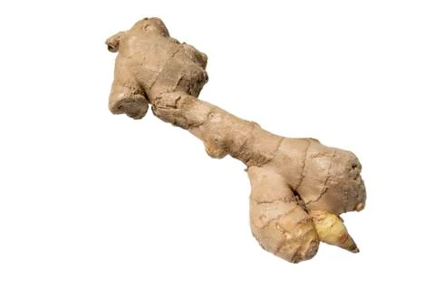 Ginger root isolated on white background photo. Beautiful picture, background Stock Photos