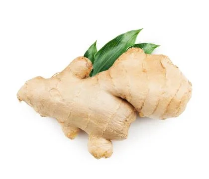 Ginger root isolated on white background Stock Photos